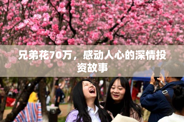 兄弟花70万，感动人心的深情投资故事