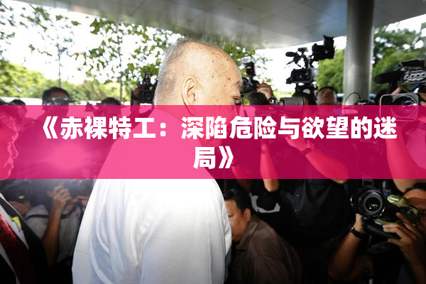《赤裸特工：深陷危险与欲望的迷局》