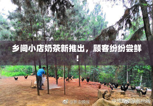 乡间小店奶茶新推出，顾客纷纷尝鲜！