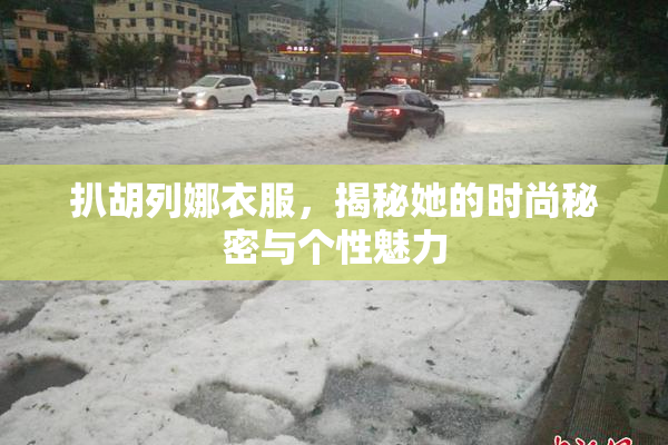 扒胡列娜衣服，揭秘她的时尚秘密与个性魅力