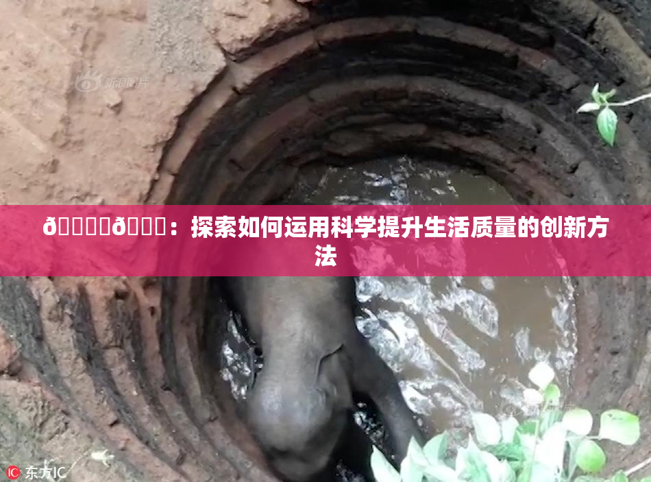 🔞‌🍌：探索如何运用科学提升生活质量的创新方法