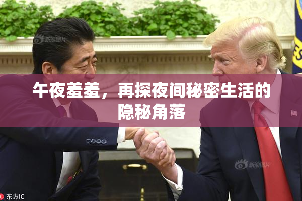 午夜羞羞，再探夜间秘密生活的隐秘角落