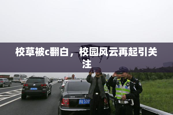 校草被c翻白，校园风云再起引关注