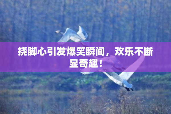 挠脚心引发爆笑瞬间，欢乐不断显奇趣！