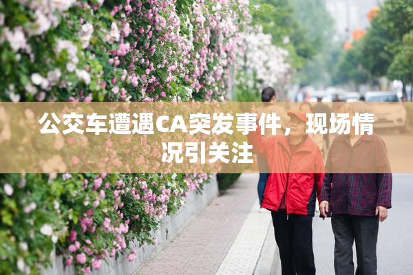 公交车遭遇CA突发事件，现场情况引关注