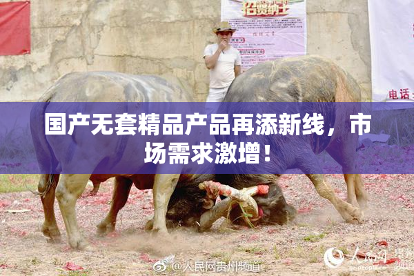 国产无套精品产品再添新线，市场需求激增！