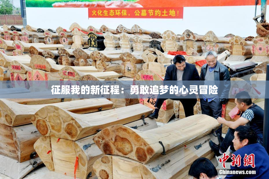 征服我的新征程：勇敢追梦的心灵冒险