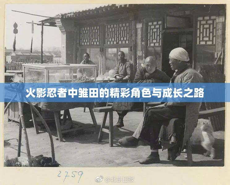 火影忍者中雏田的精彩角色与成长之路