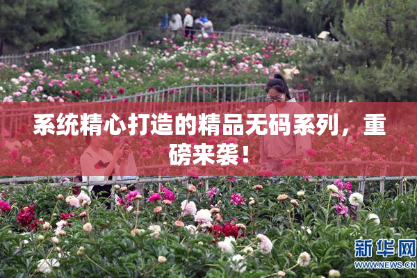 系统精心打造的精品无码系列，重磅来袭！