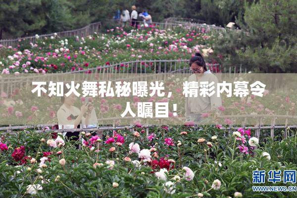 不知火舞私秘曝光，精彩内幕令人瞩目！