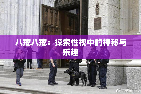 八戒八戒：探索性视中的神秘与乐趣