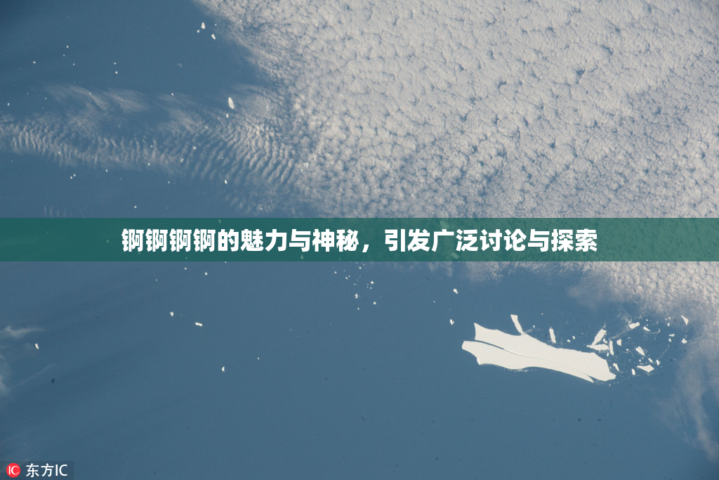 锕锕锕锕的魅力与神秘，引发广泛讨论与探索