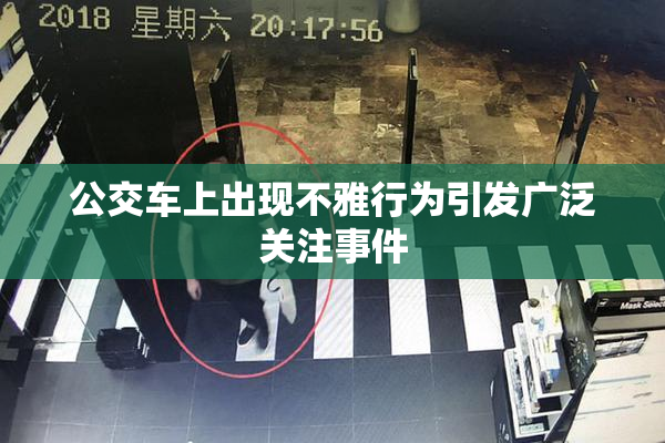公交车上出现不雅行为引发广泛关注事件