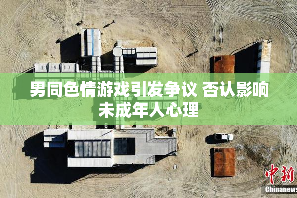 男同色情游戏引发争议 否认影响未成年人心理