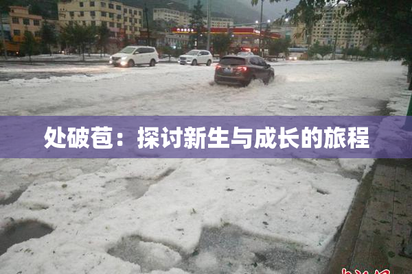 处破苞：探讨新生与成长的旅程