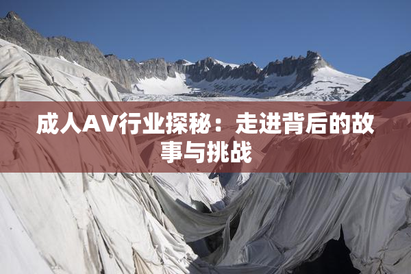 成人AV行业探秘：走进背后的故事与挑战