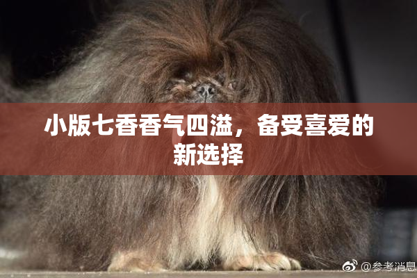 小版七香香气四溢，备受喜爱的新选择