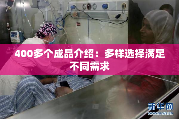 400多个成品介绍：多样选择满足不同需求