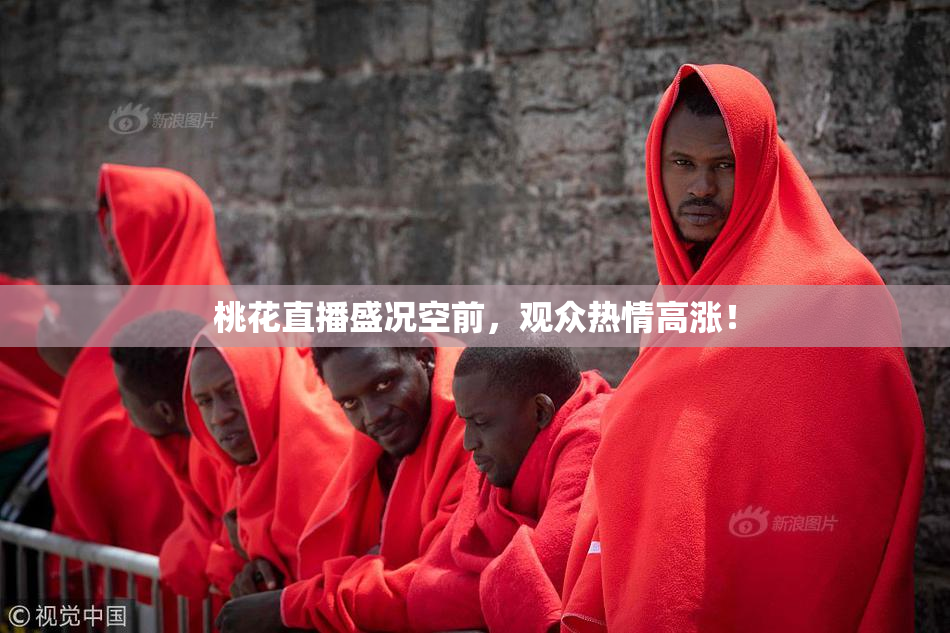 桃花直播盛况空前，观众热情高涨！
