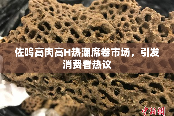 佐鸣高肉高H热潮席卷市场，引发消费者热议