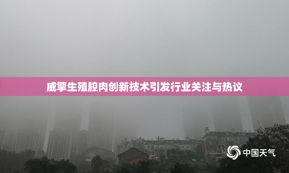 威擎生殖腔肉创新技术引发行业关注与热议