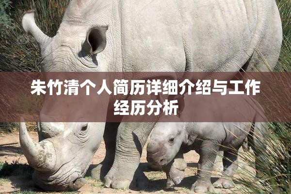 朱竹清个人简历详细介绍与工作经历分析