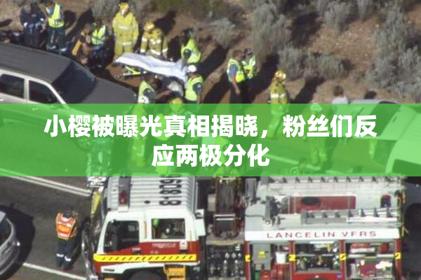 小樱被曝光真相揭晓，粉丝们反应两极分化