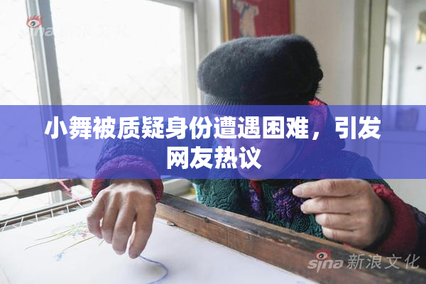 小舞被质疑身份遭遇困难，引发网友热议