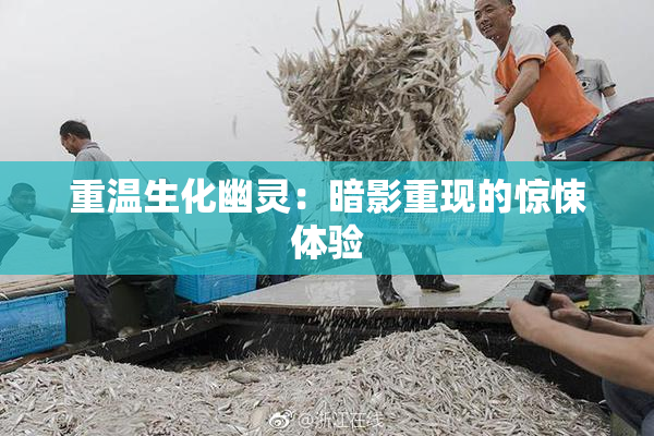 重温生化幽灵：暗影重现的惊悚体验