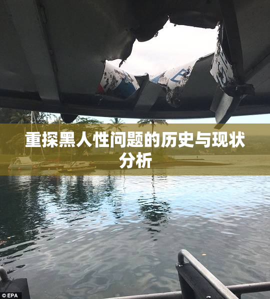 重探黑人性问题的历史与现状分析