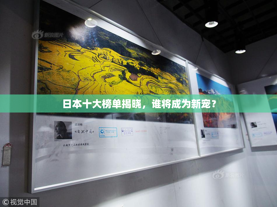 日本十大榜单揭晓，谁将成为新宠？