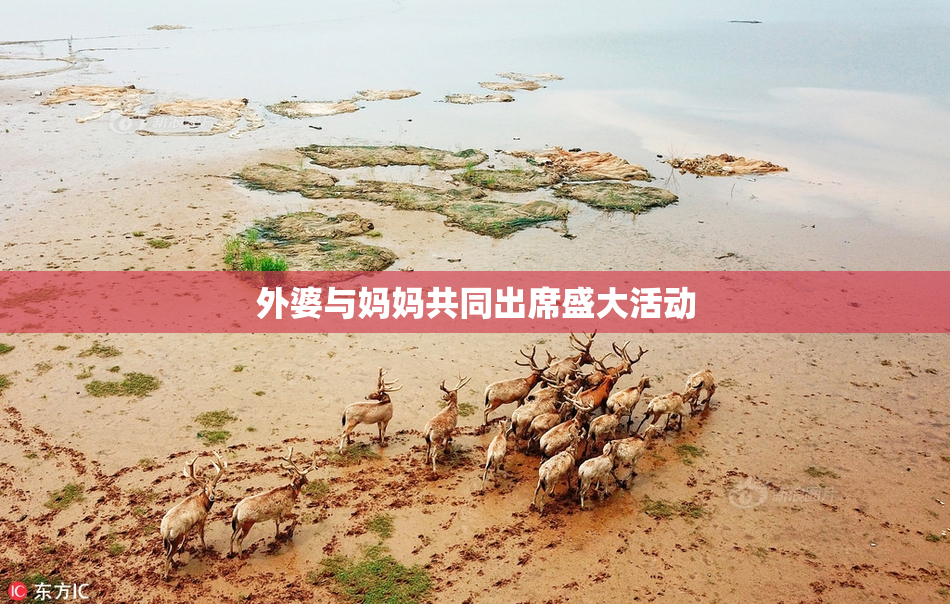 外婆与妈妈共同出席盛大活动
