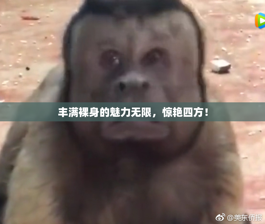 丰满裸身的魅力无限，惊艳四方！