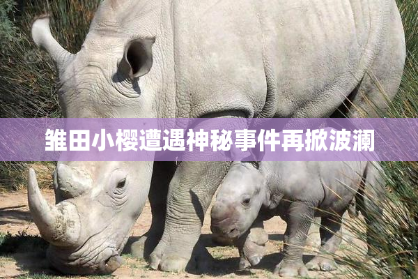 雏田小樱遭遇神秘事件再掀波澜