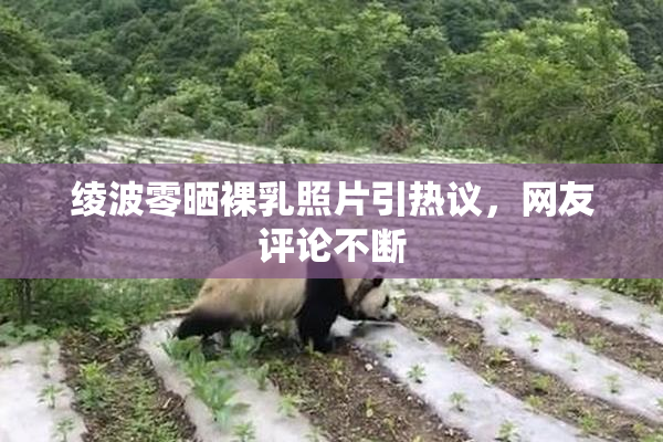 绫波零晒裸乳照片引热议，网友评论不断