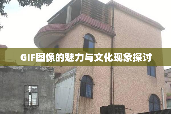GIF图像的魅力与文化现象探讨