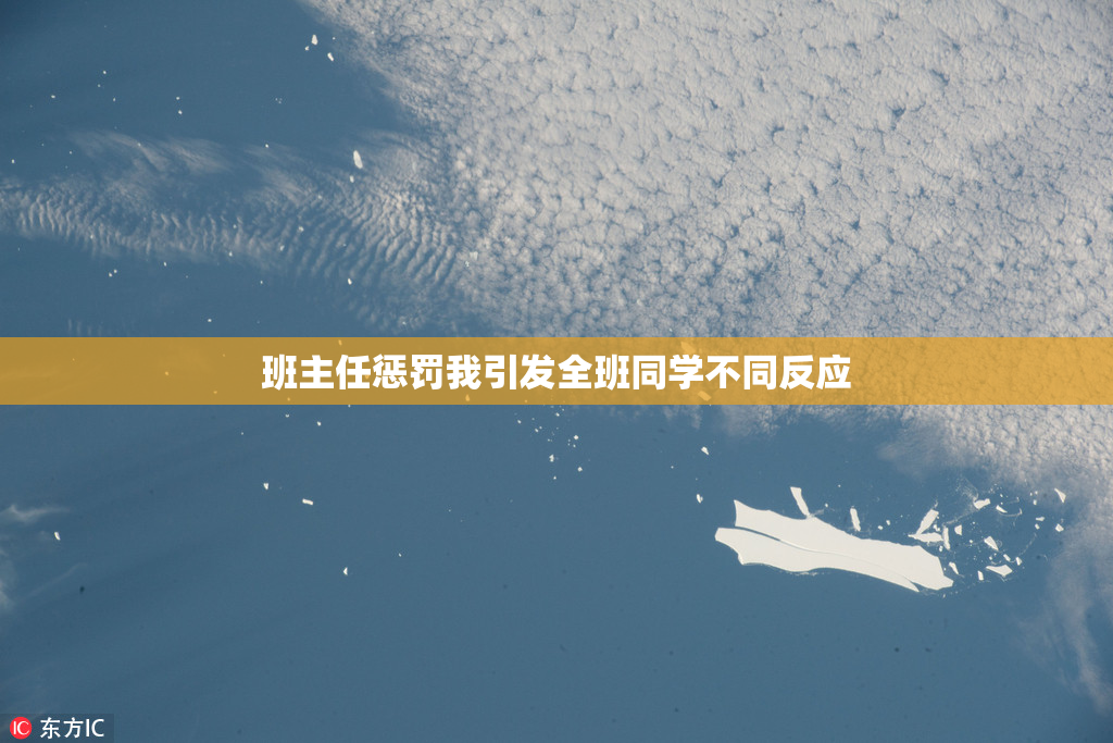 班主任惩罚我引发全班同学不同反应