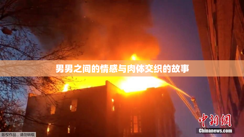 男男之间的情感与肉体交织的故事