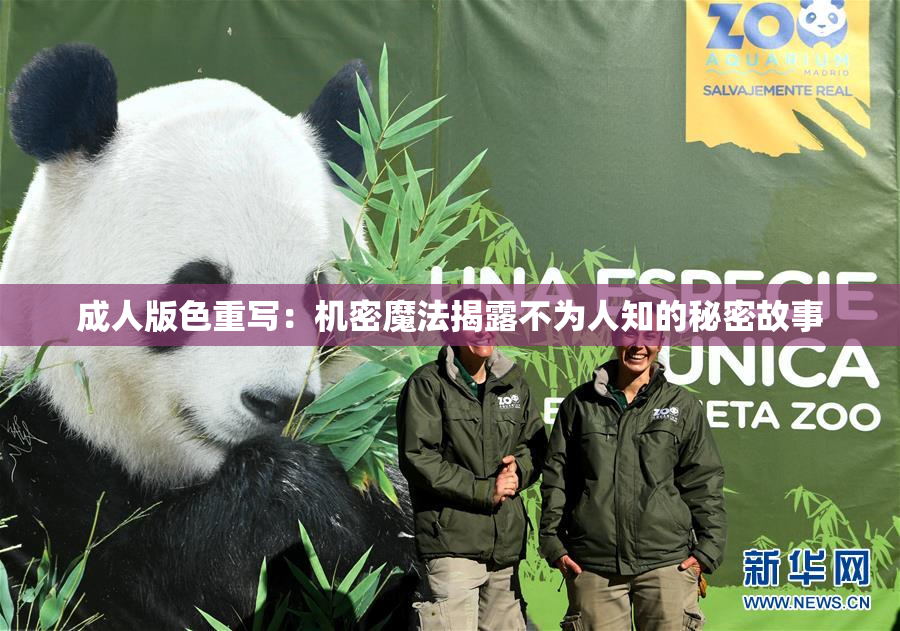 成人版色重写：机密魔法揭露不为人知的秘密故事