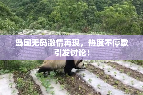 岛国无码激情再现，热度不停歇引发讨论！