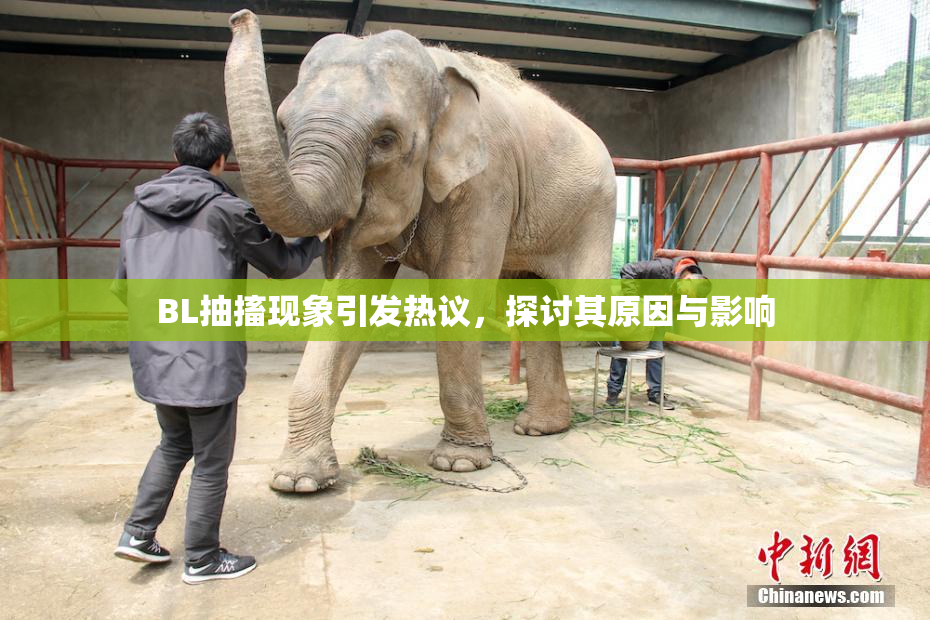 BL抽搐现象引发热议，探讨其原因与影响