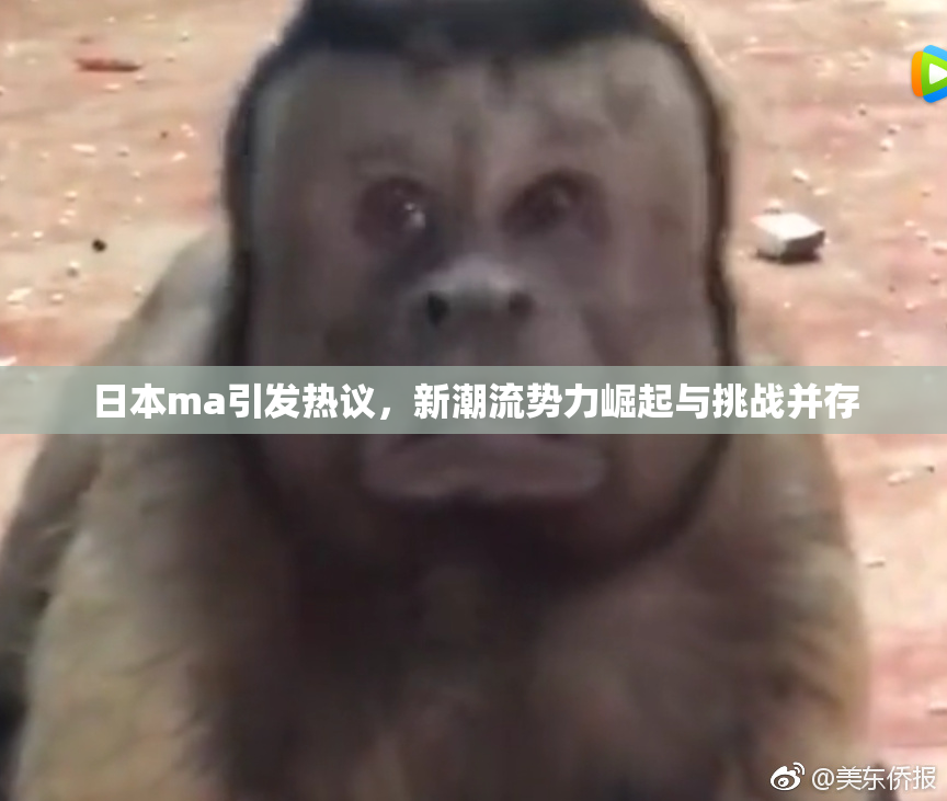 日本ma引发热议，新潮流势力崛起与挑战并存