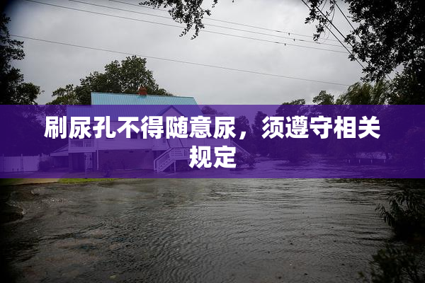 刷尿孔不得随意尿，须遵守相关规定