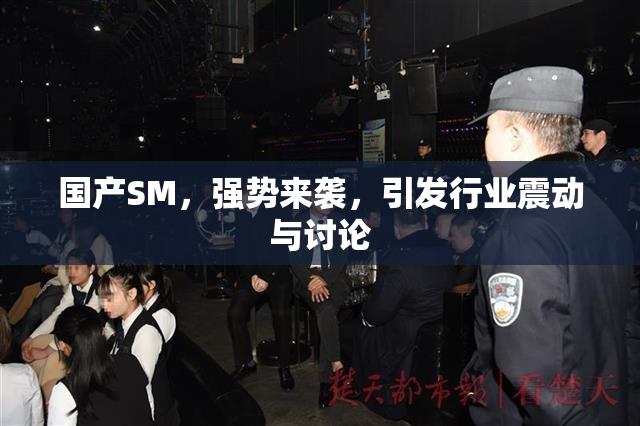 国产SM，强势来袭，引发行业震动与讨论