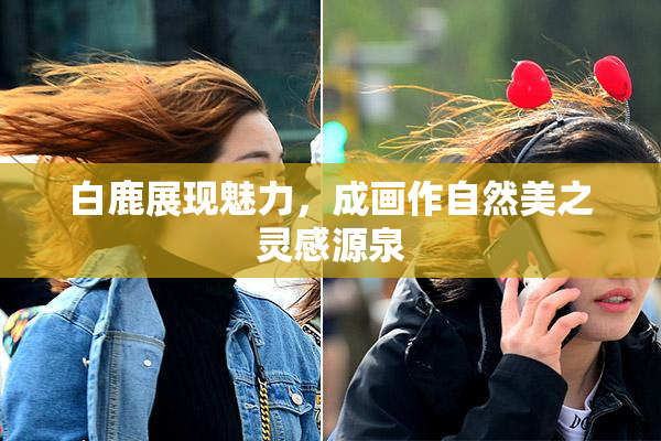白鹿展现魅力，成画作自然美之灵感源泉