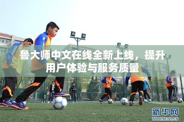 鲁大师中文在线全新上线，提升用户体验与服务质量