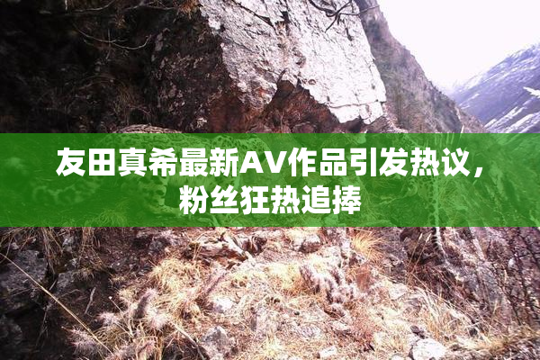 友田真希最新AV作品引发热议，粉丝狂热追捧