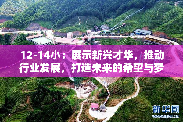 12-14小：展示新兴才华，推动行业发展，打造未来的希望与梦想。
