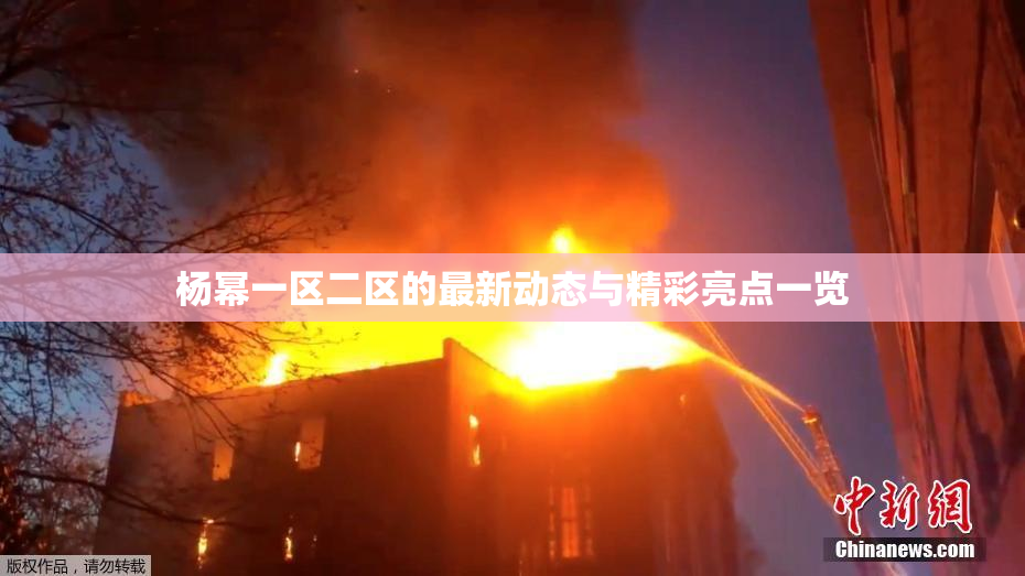 杨幂一区二区的最新动态与精彩亮点一览