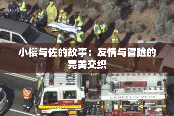小樱与佐的故事：友情与冒险的完美交织